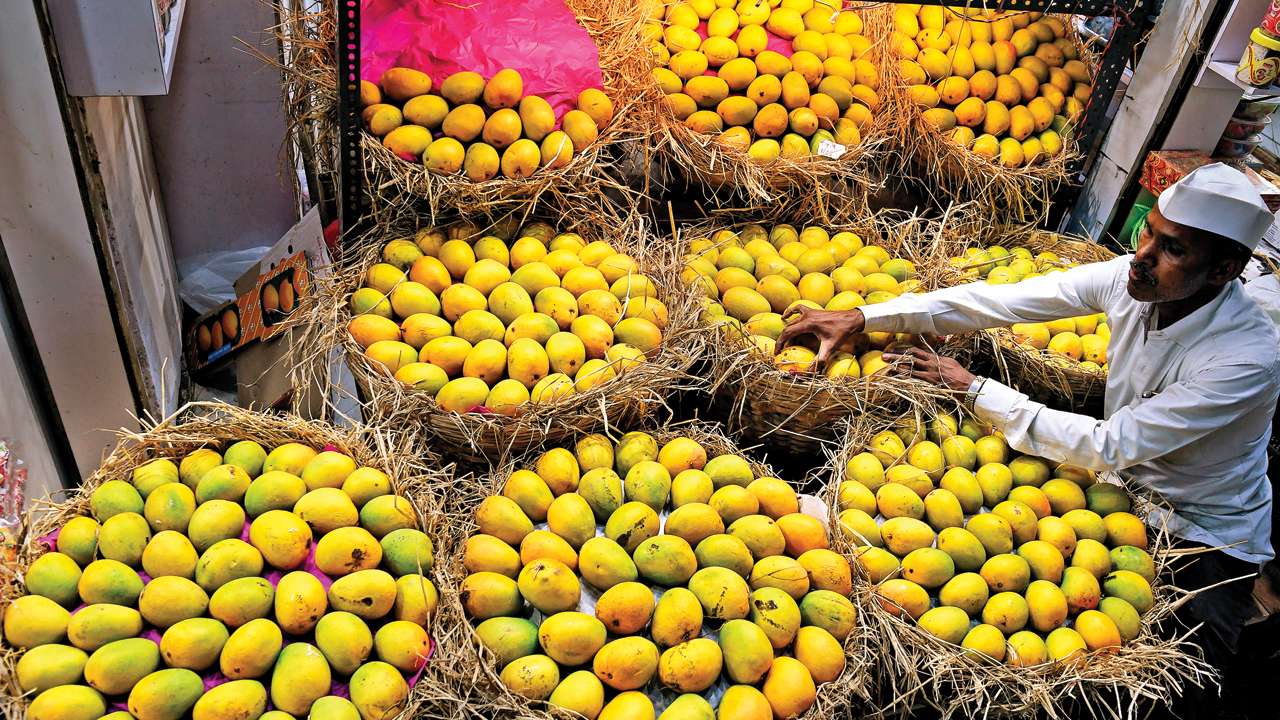 Pakistani Mango Price in Pakistan