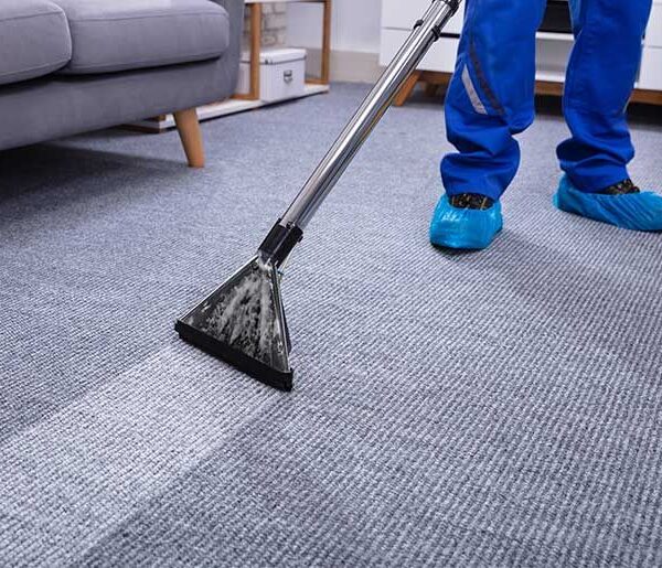 Professional Carpet Cleaning Arvada
