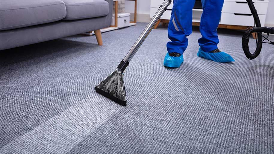 Professional Carpet Cleaning Arvada