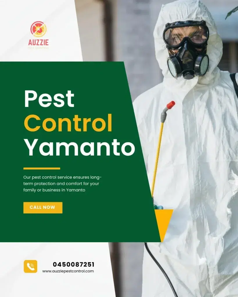Best Pest Control Services in Yamanto
