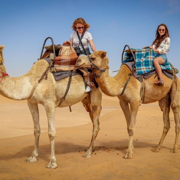 Desert safari dubai price