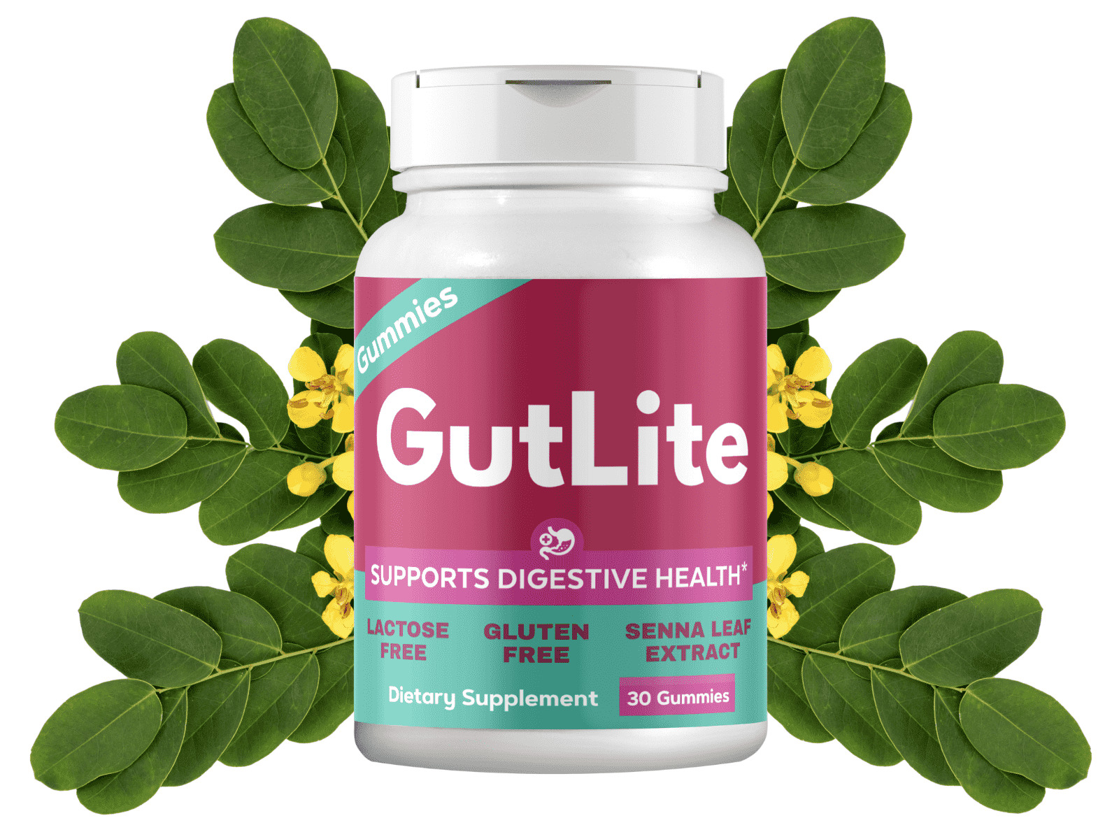 Gutlite
