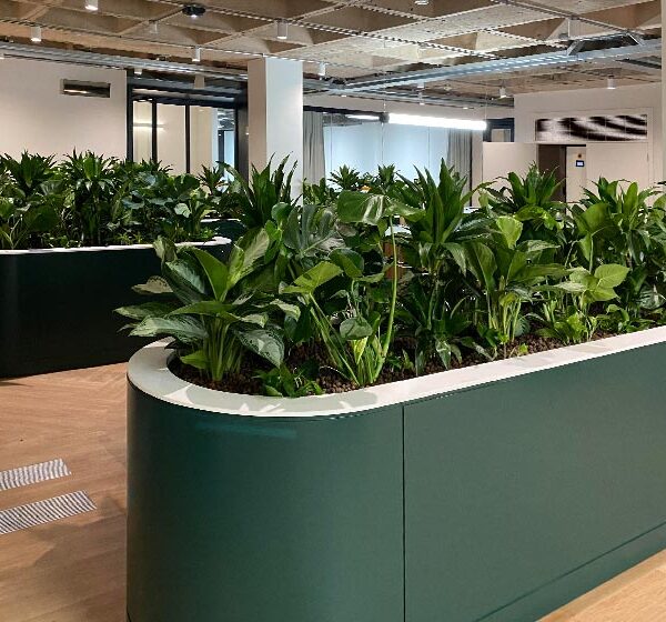 partition planters